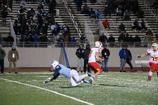 November 8 2019 IMG_9498889